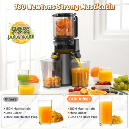 Cold Press Juicer - Slow Masticating