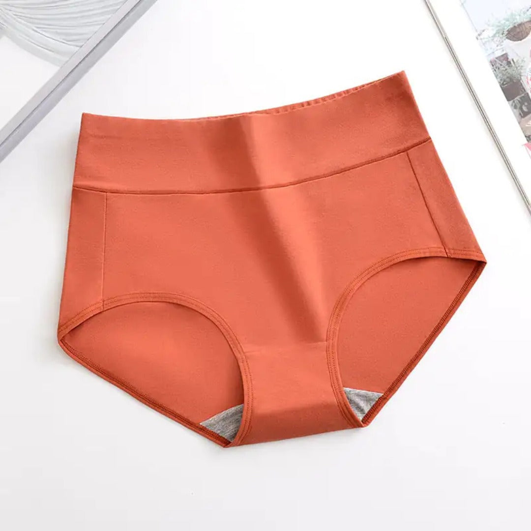 Women's Plus Size XL-4XL High Waisted Cotton Underwear